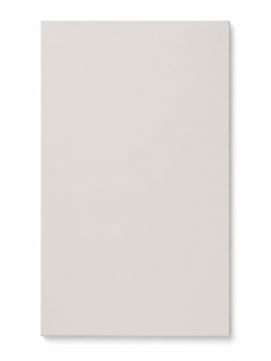 Pure Slab Door
